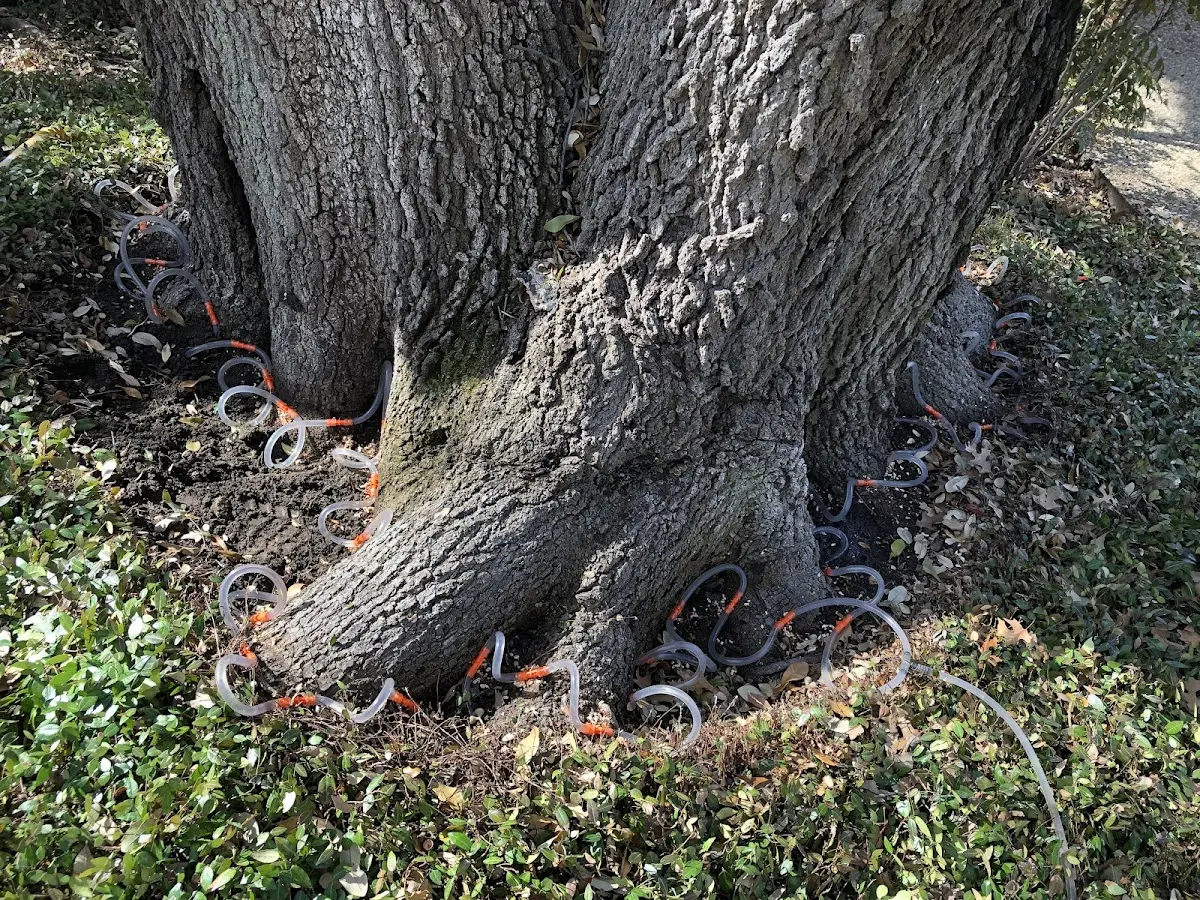 Detailed Shrub and Hedge Trimming job site in Eddington