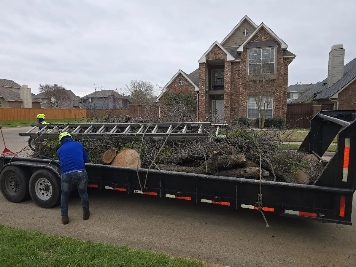 Expert Tree Pest Control with proper safety equipment in Eddington